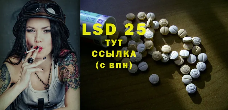 продажа наркотиков  Новодвинск  Лсд 25 экстази ecstasy 